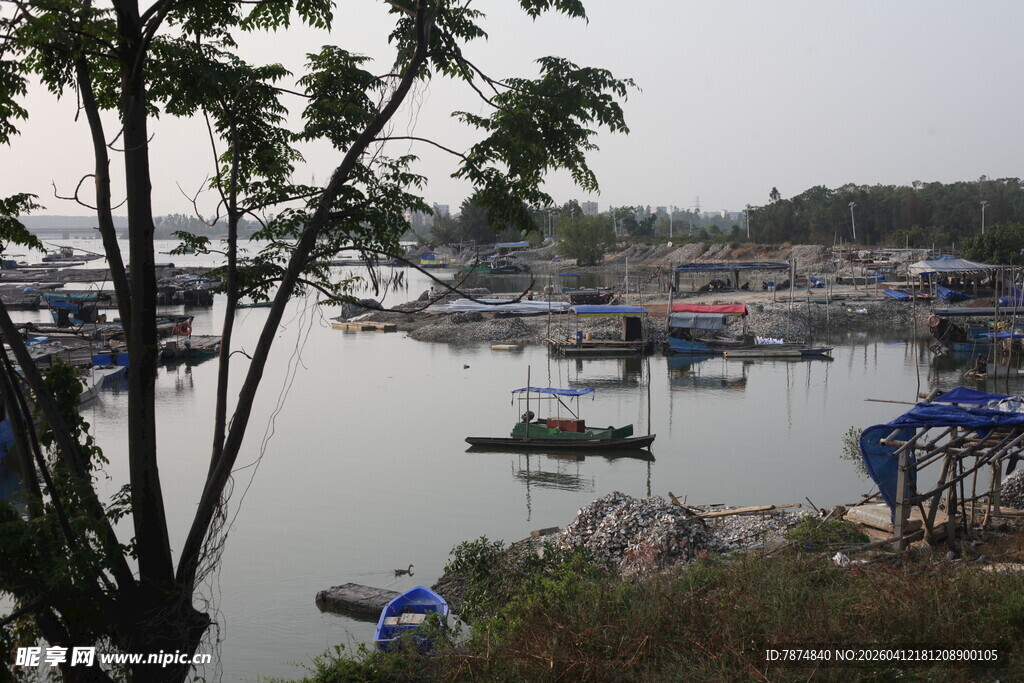 湛江湖畔停泊的多彩船只景观