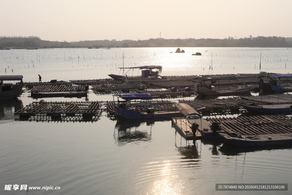 湛江宁静港湾的停泊船只