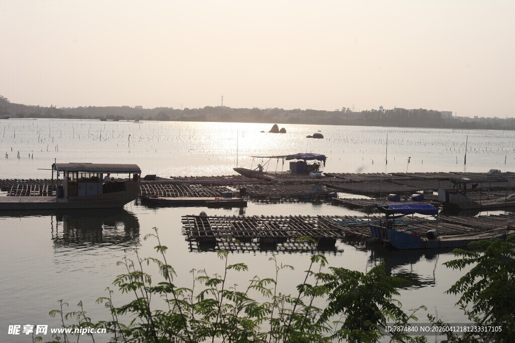 湛江江边停泊的船只与码头