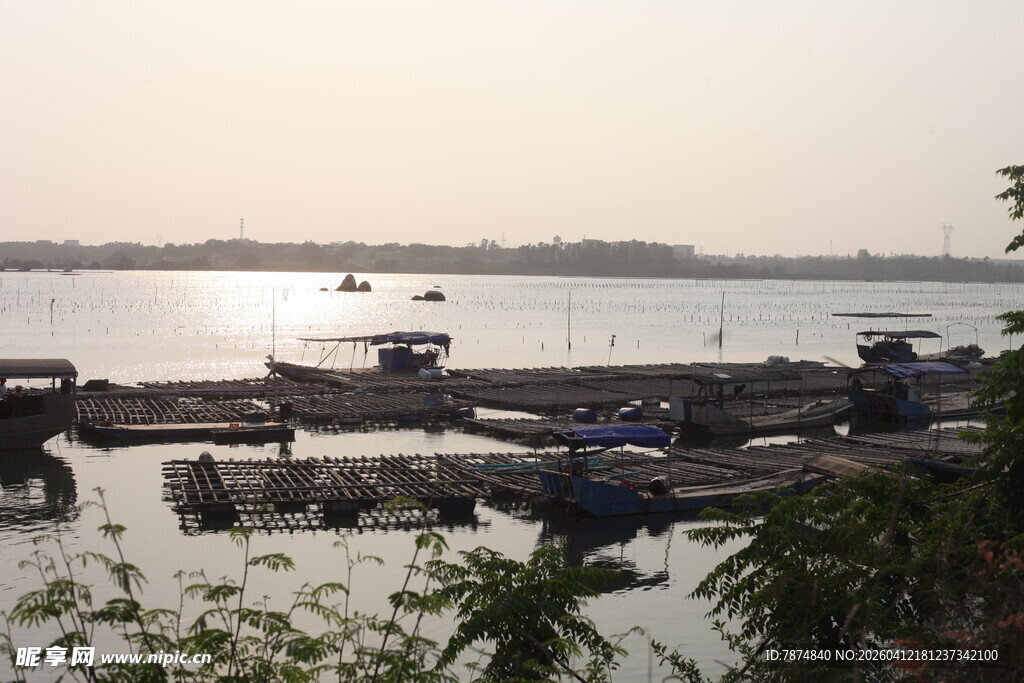 湛江宁静河畔停泊着多艘船只