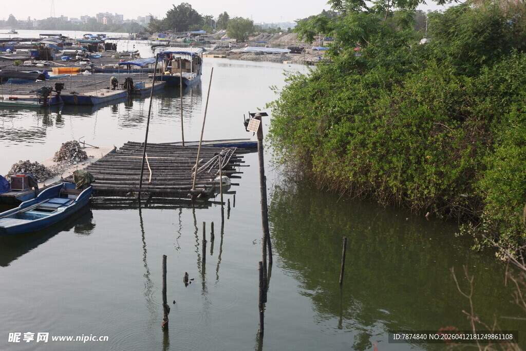 湛江河边码头停泊多艘船只