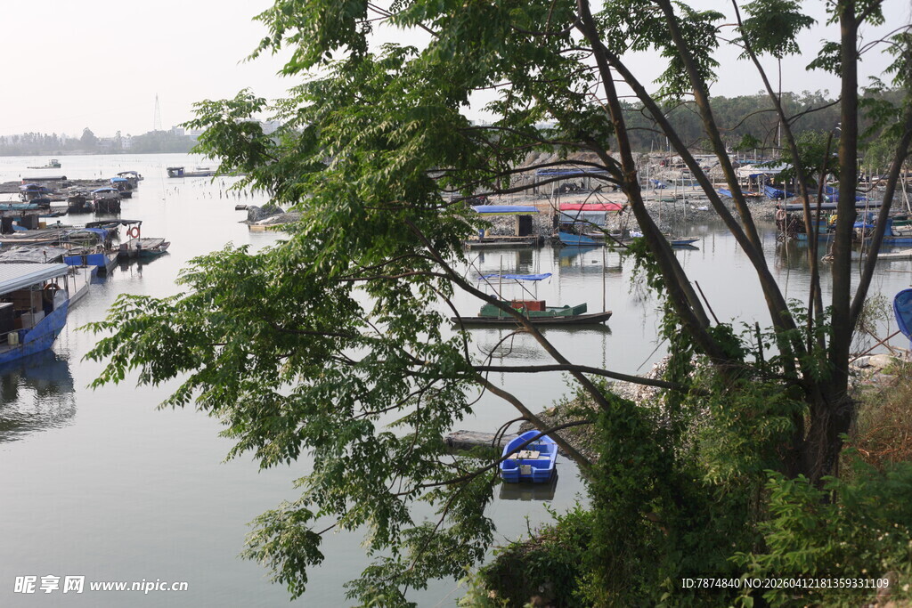 湛江河畔停泊的多彩船只
