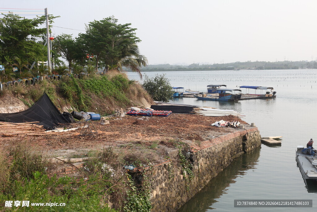 湛江岸边停泊船只的宁静水域