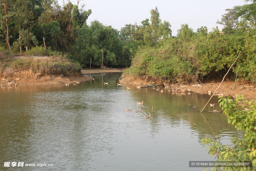 湛江宁静河畔自然风光