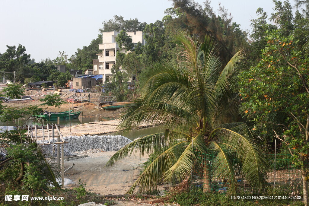 湛江乡村景致中的棕榈树与建筑