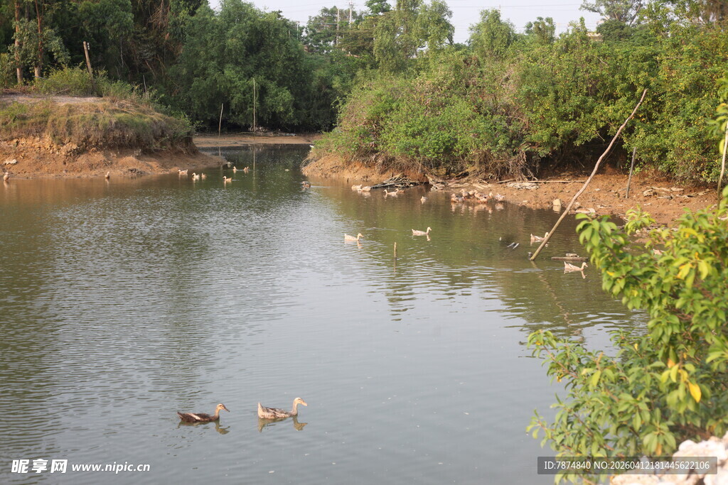 湛江宁静河畔的悠闲景象