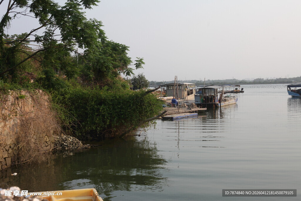 湛江河畔停泊船只的宁静景象