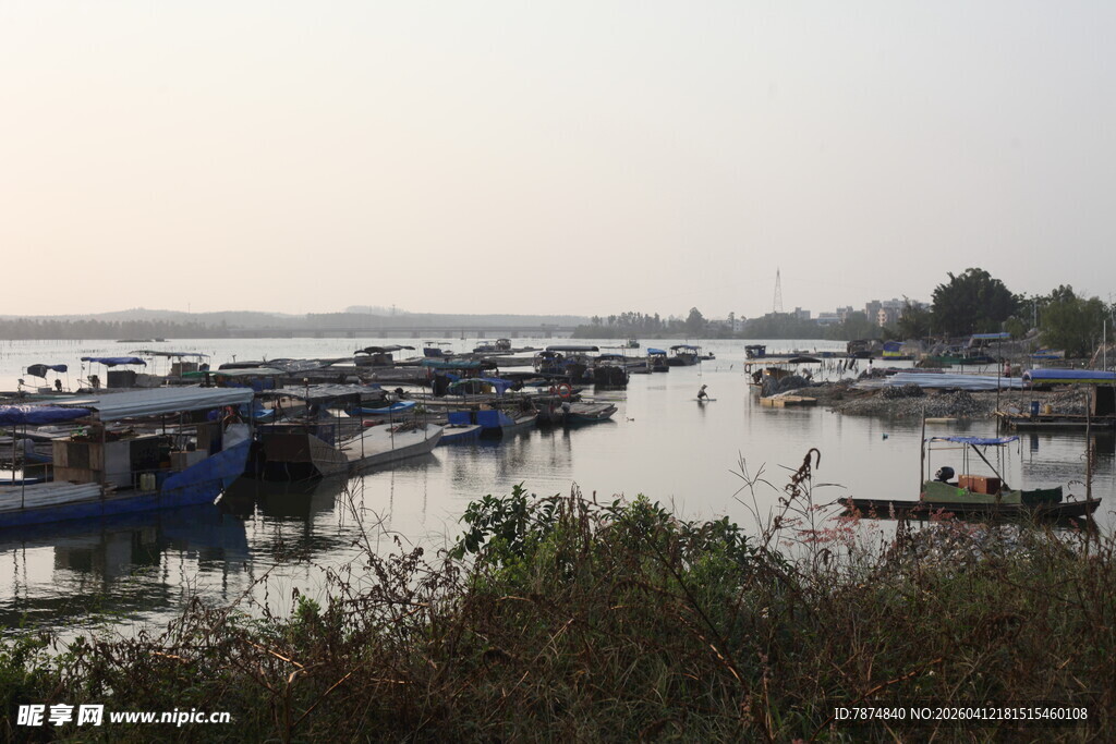 湛江宁静水上停泊船只景象
