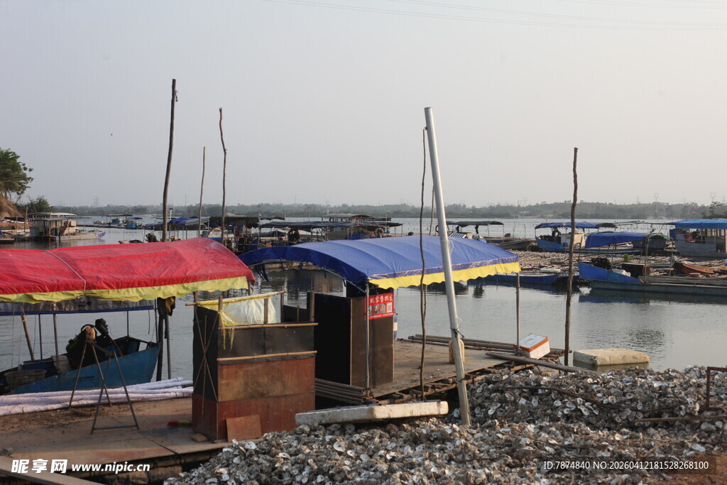 湛江宁静港湾中的多彩船只