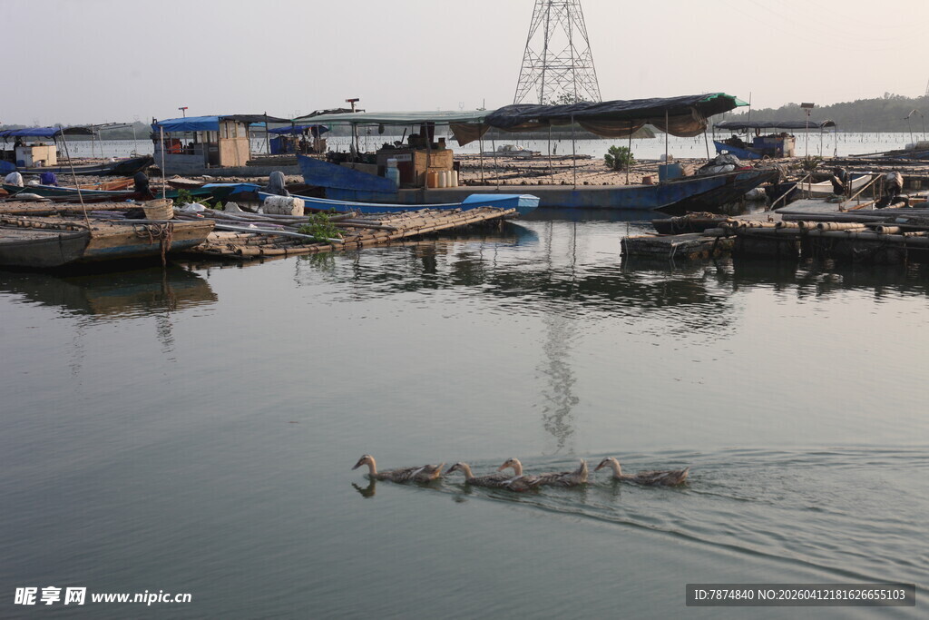 湛江港口停泊船只与水面倒影