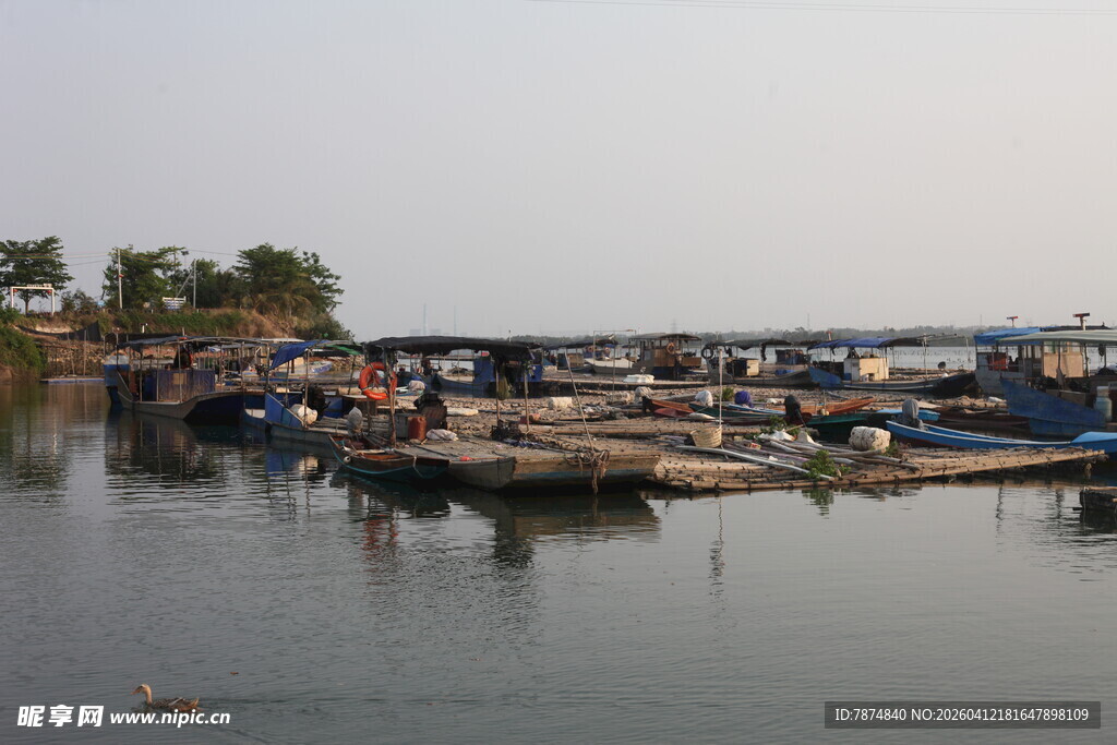 湛江宁静港湾中的停泊渔船