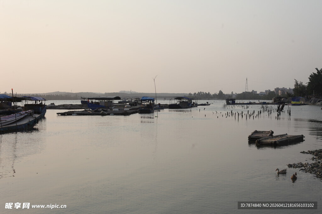 湛江宁静港湾停泊众多船只