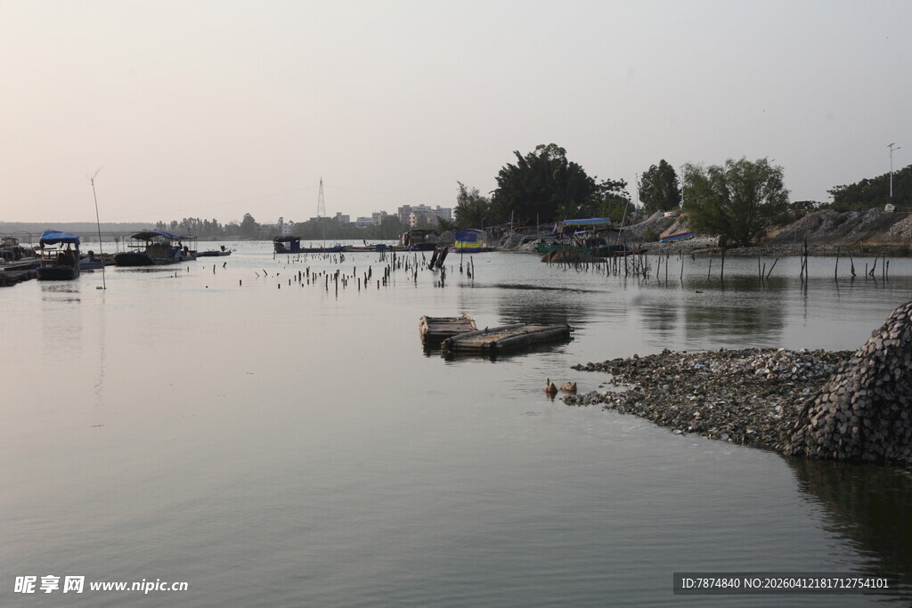 湛江宁静湖畔的船只停泊景象