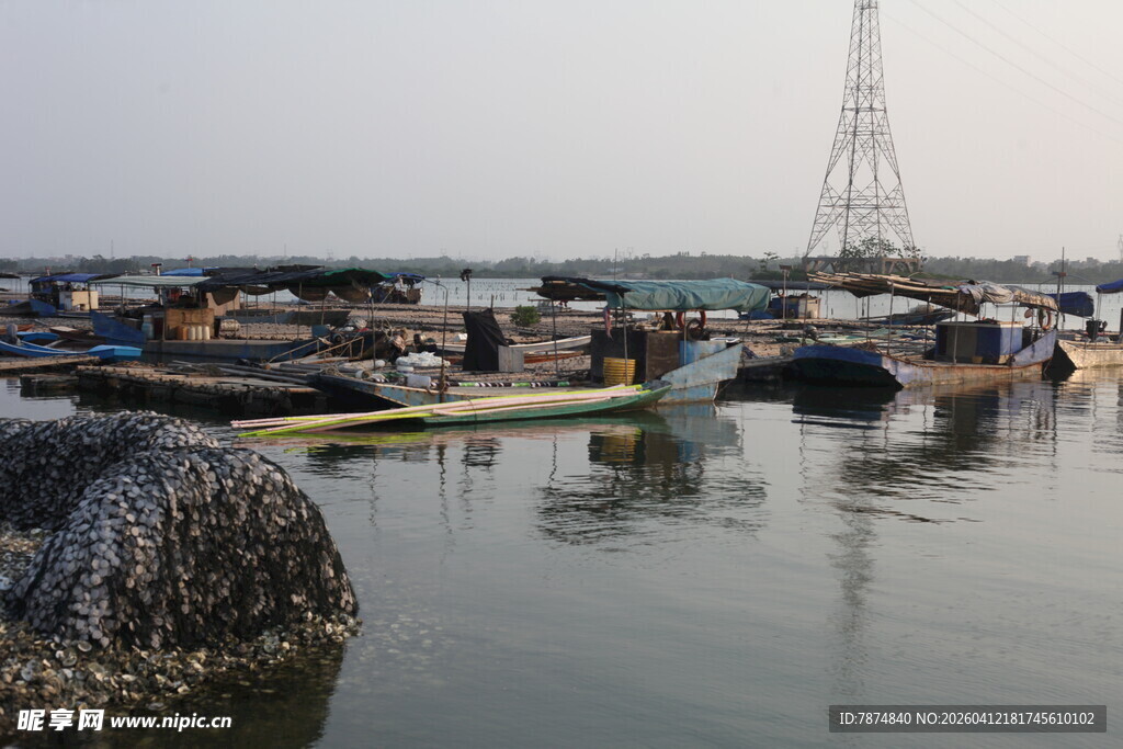 湛江港口停泊船只景象