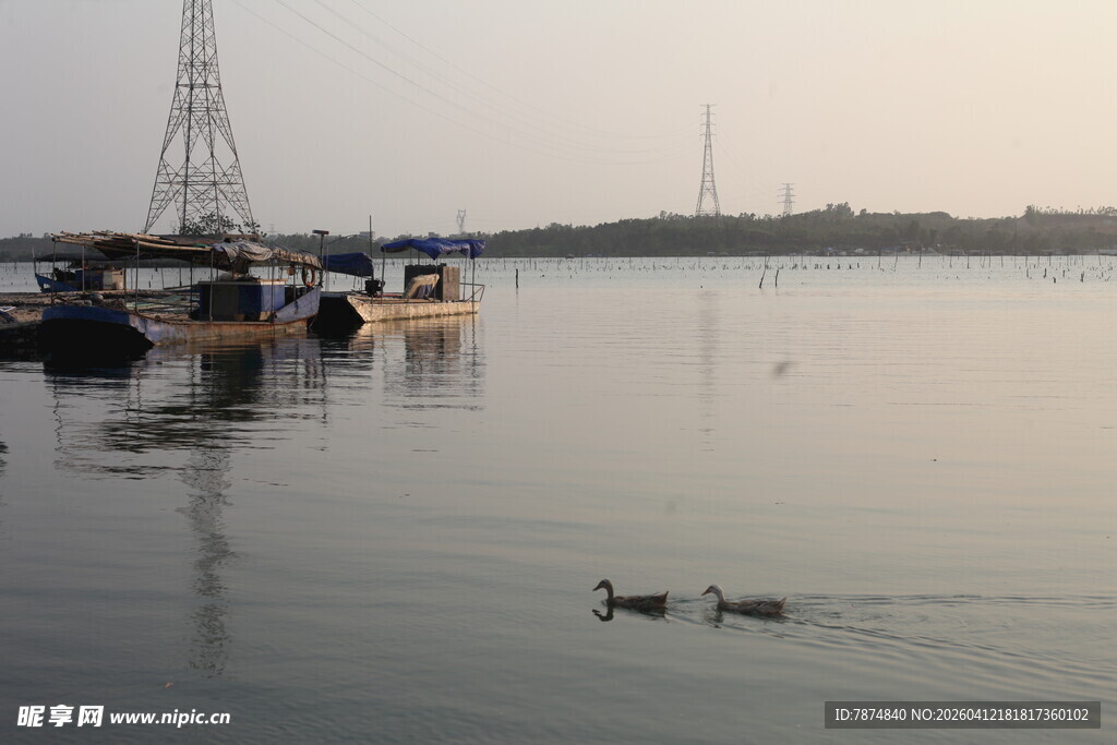 湛江湖畔码头船只与游弋野鸭