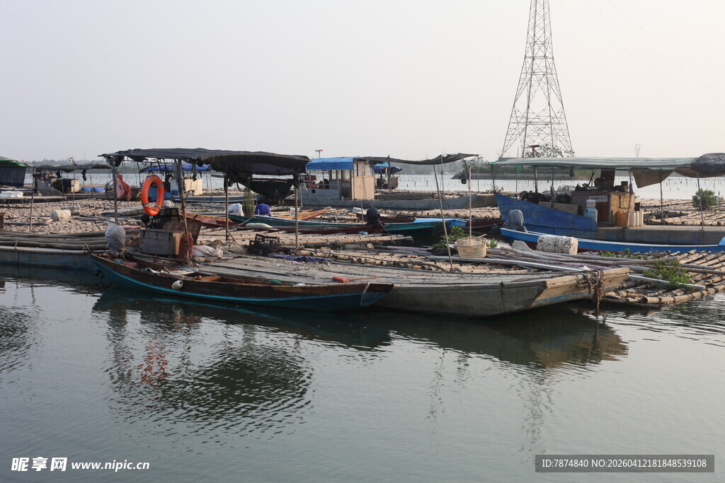 湛江码头停泊的船只景象