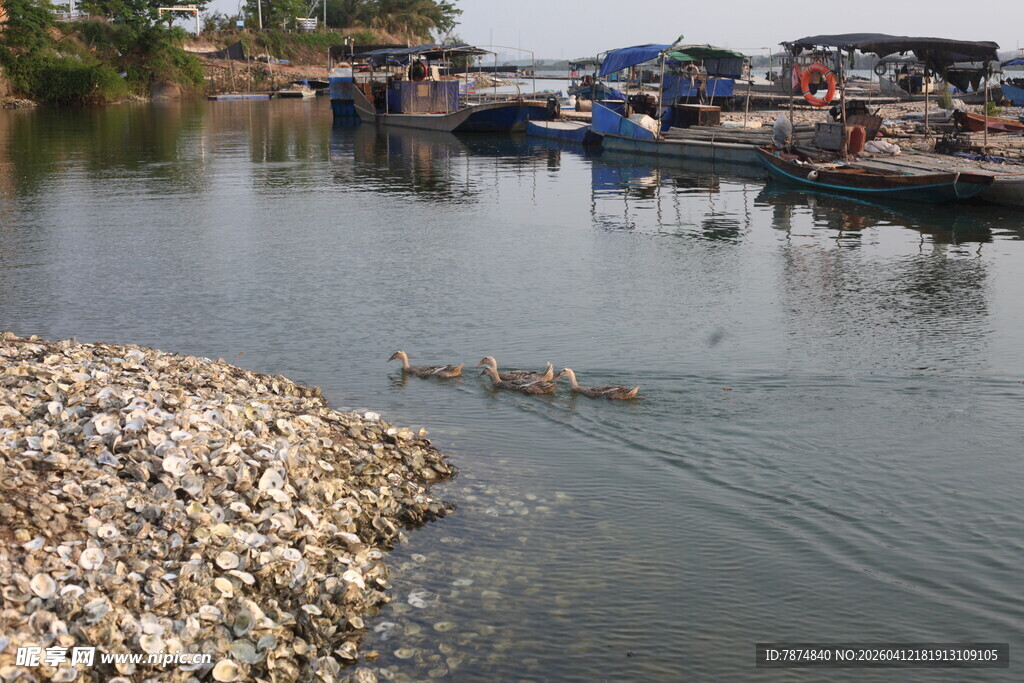 湛江河边渔村景象