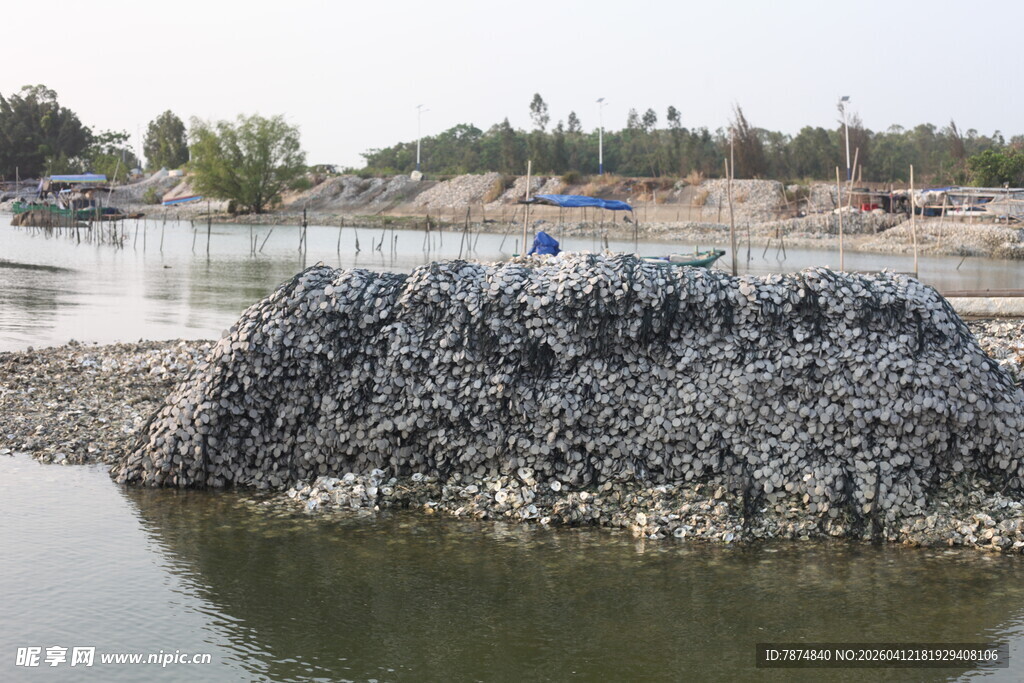湛江水边堆积的金属废料