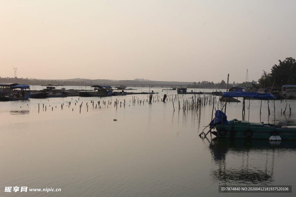 湛江宁静湖面的水上船只景观