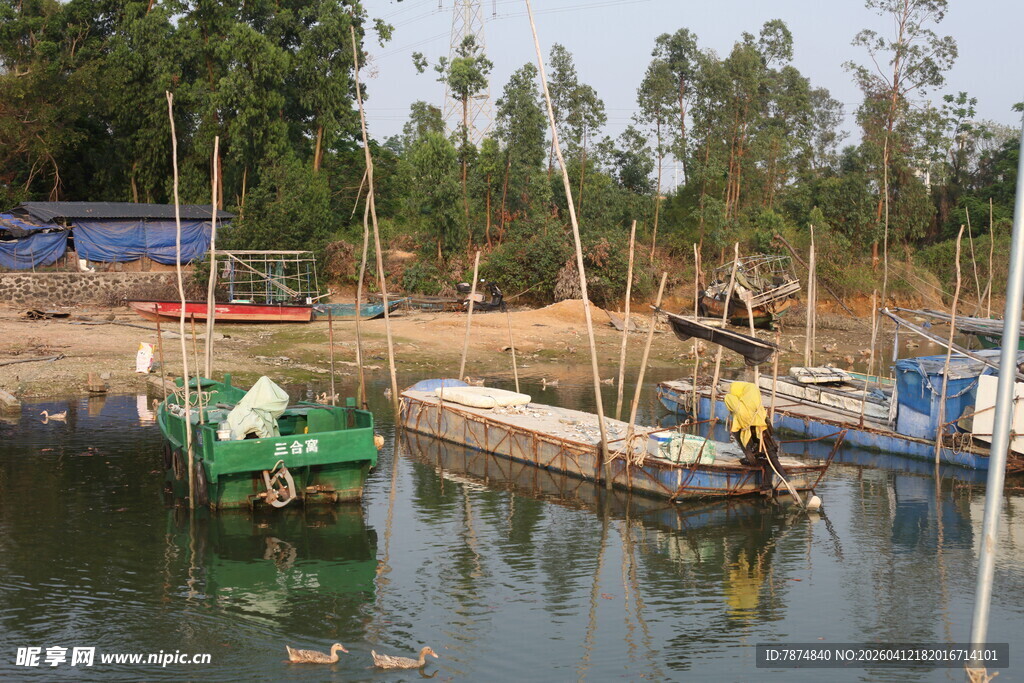 湛江宁静港湾中的多彩停泊船只