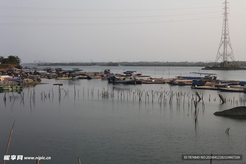 湛江宁静港湾中的停泊船只