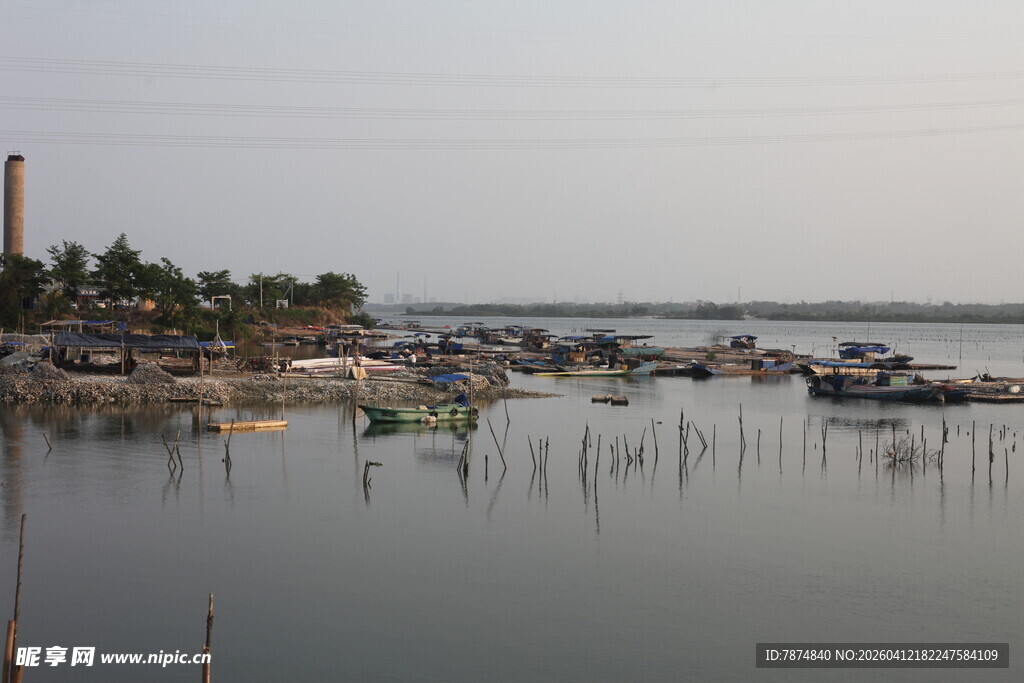 湛江宁静港湾渔船停泊景象
