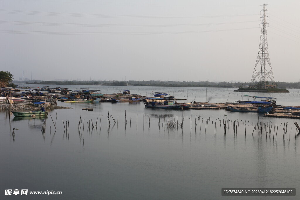 湛江宁静水边停泊的船只景象