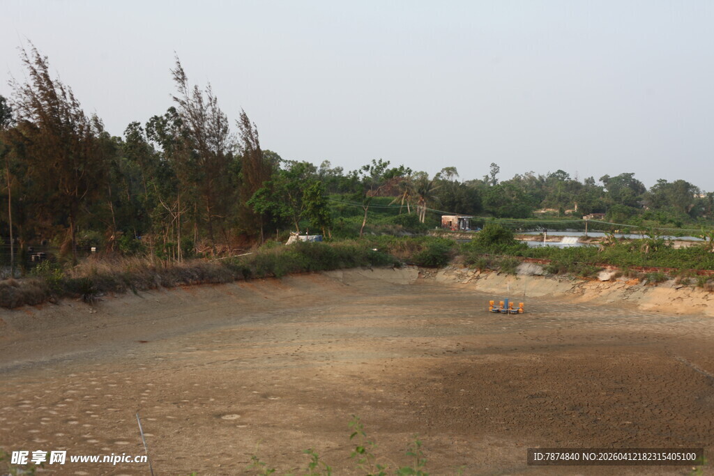 湛江空旷土路旁的绿植景观
