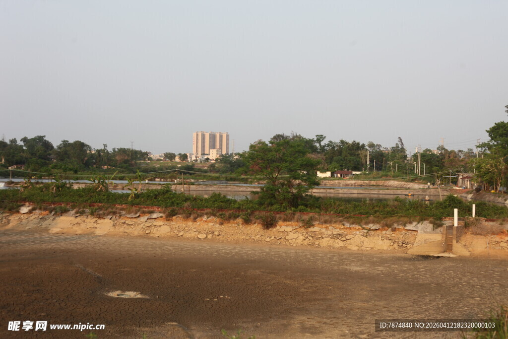 湛江乡村田野景象