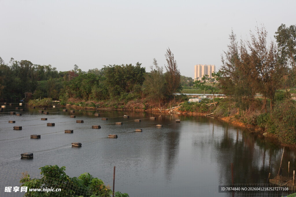 湛江宁静湖泊与周边绿植景观