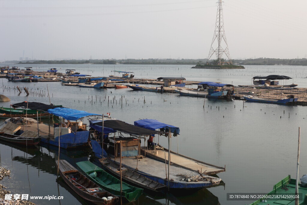 湛江宁静港湾停泊多彩船只