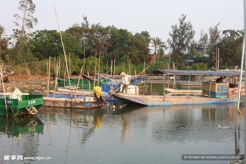 湛江宁静港湾中的多彩船只
