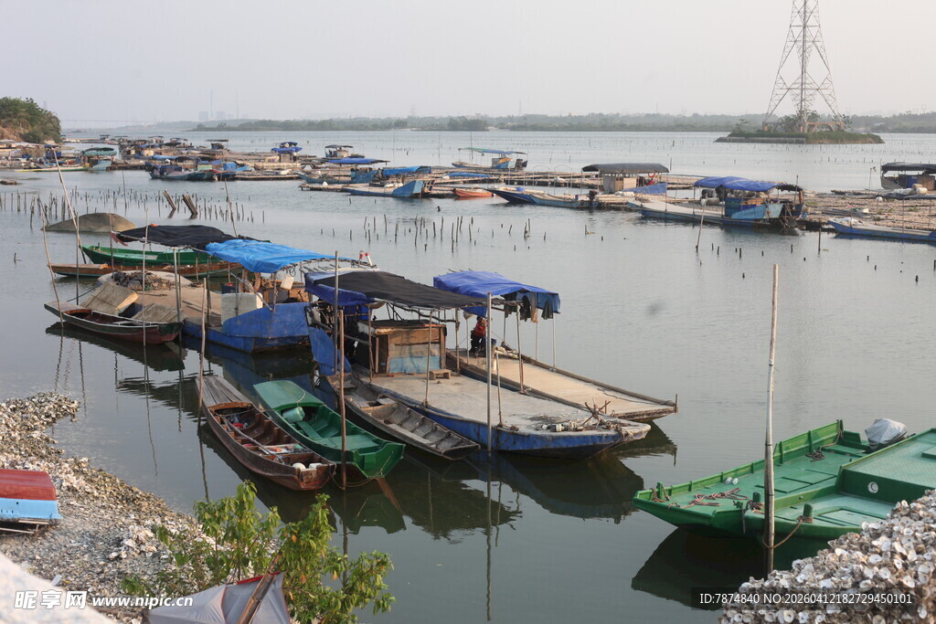 湛江宁静港湾中的停泊船只