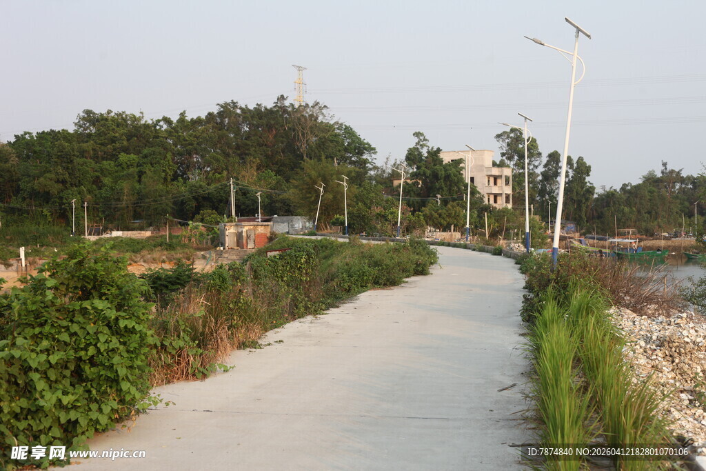 湛江城郊宁静小路 绿植相伴