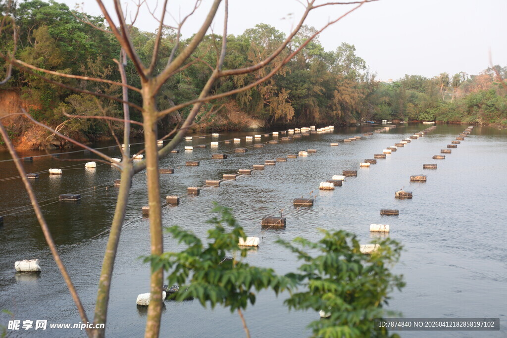 湛江水上养殖场景