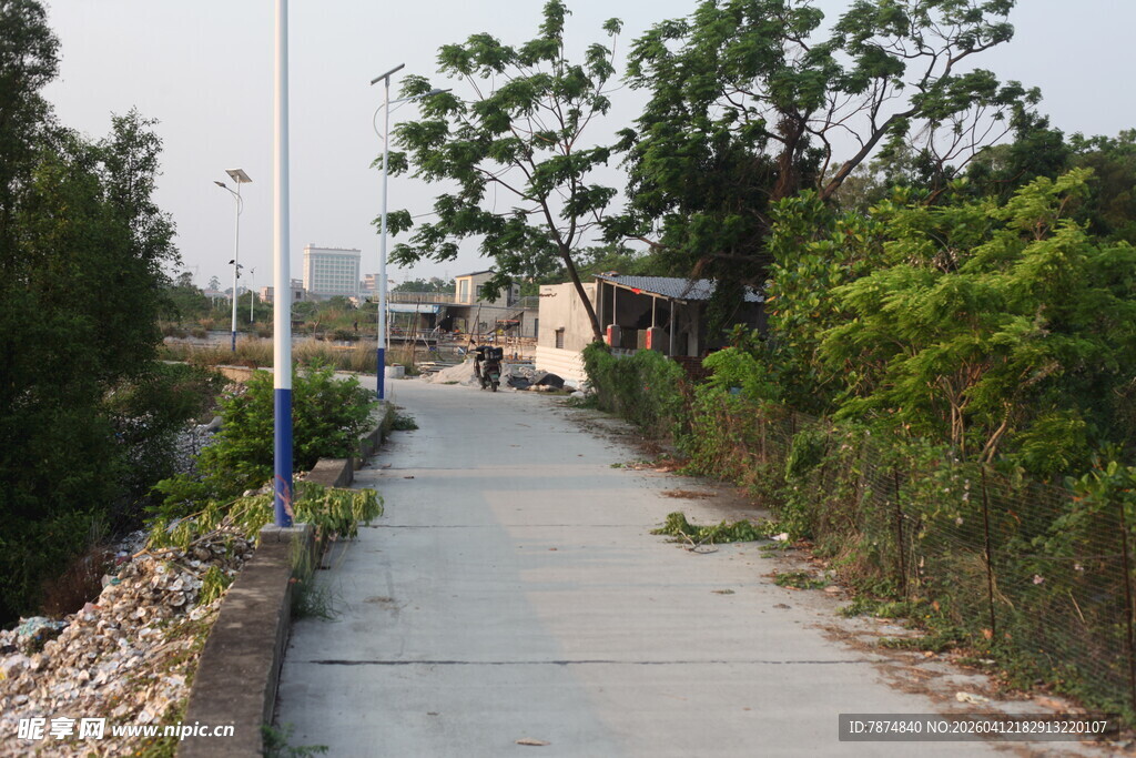 湛江乡村幽静小路 绿树相伴