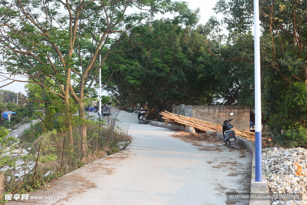 湛江乡村小径旁的树木与景象
