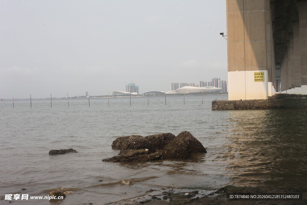 湛江桥畔水边的礁石景致