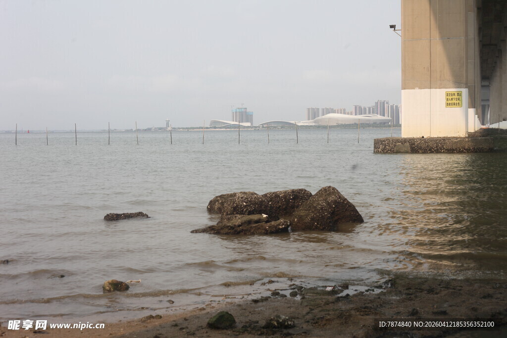 湛江桥下海边的孤独礁石