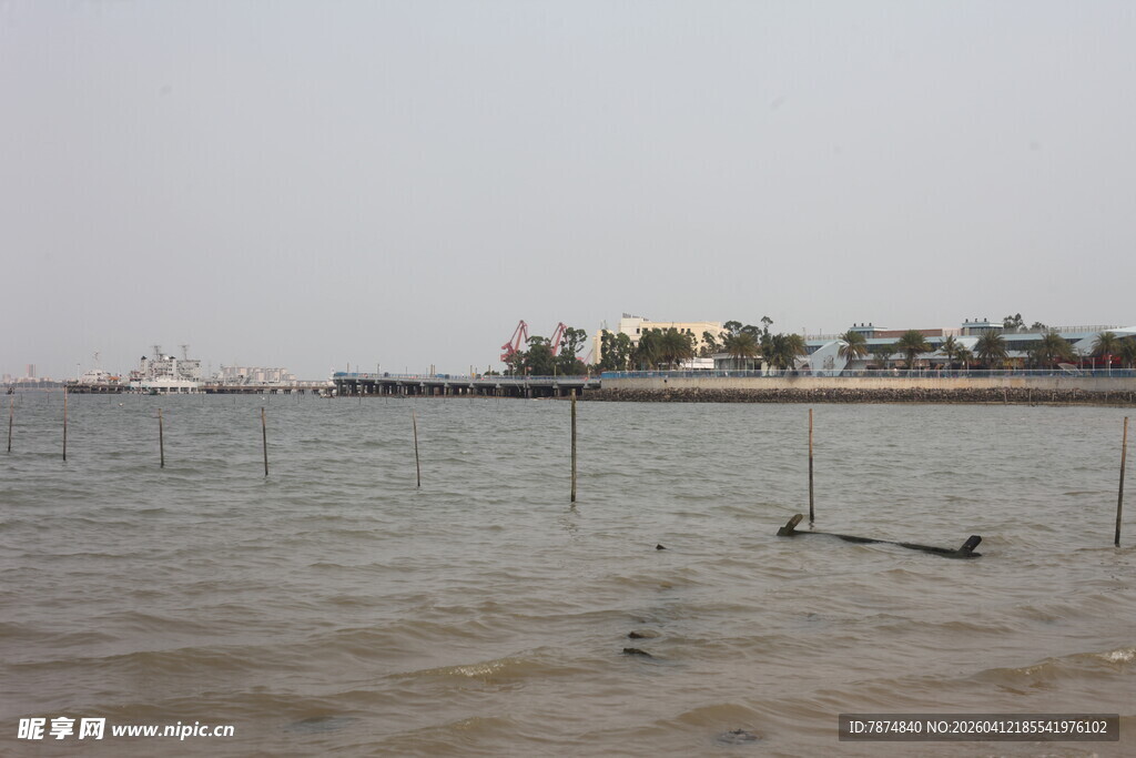 湛江海边滩涂养殖场景
