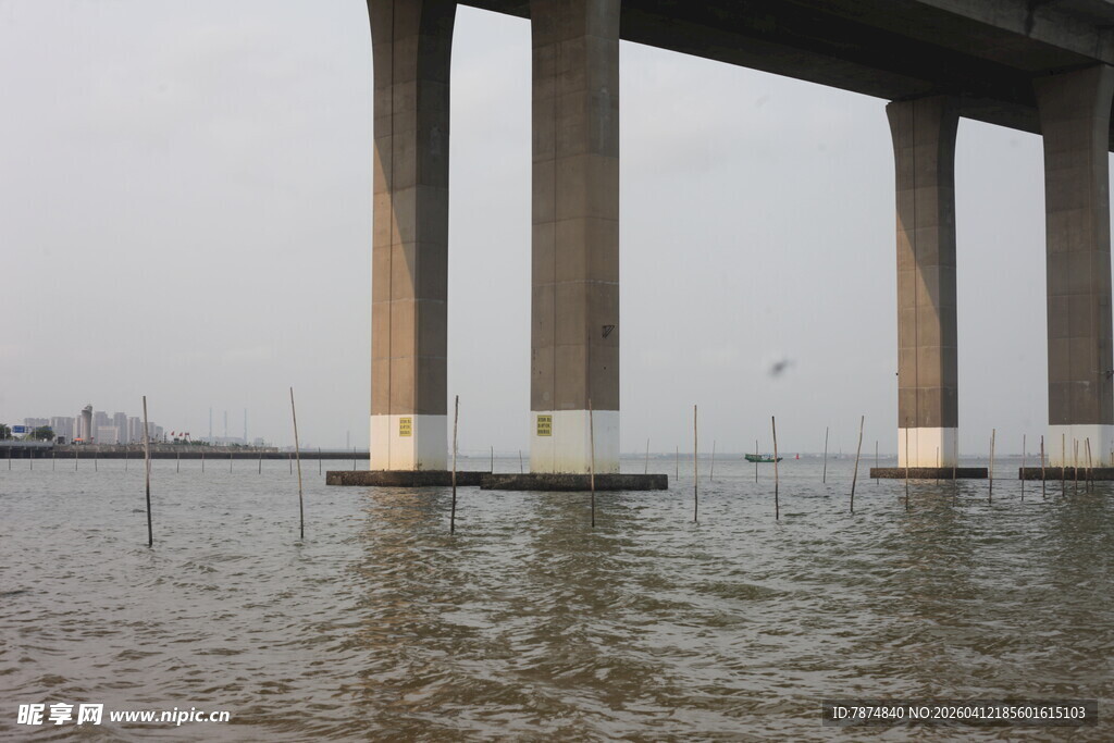 湛江桥下水面景象