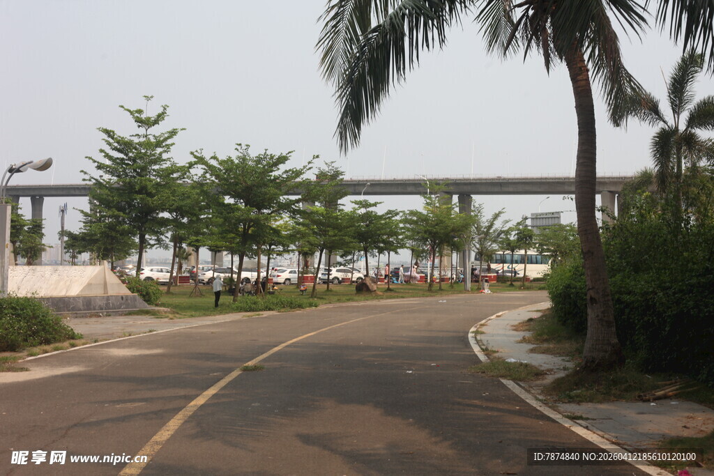 湛江城市林荫道路景观