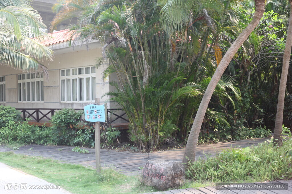 湛江热带风情中的雅致住宅