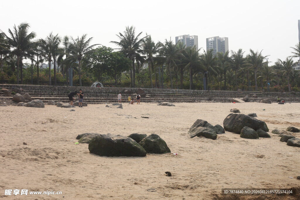 湛江沙滩上的乌龟与远处椰林