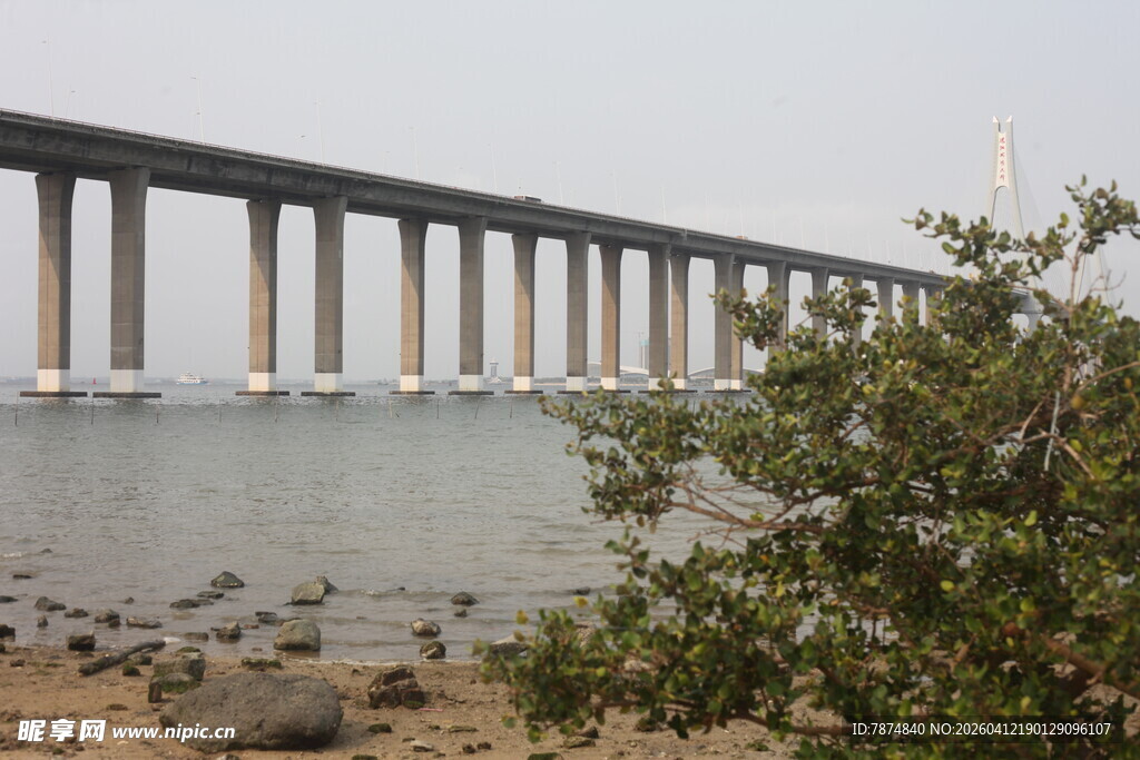 湛江海边长桥与岸边绿植景观