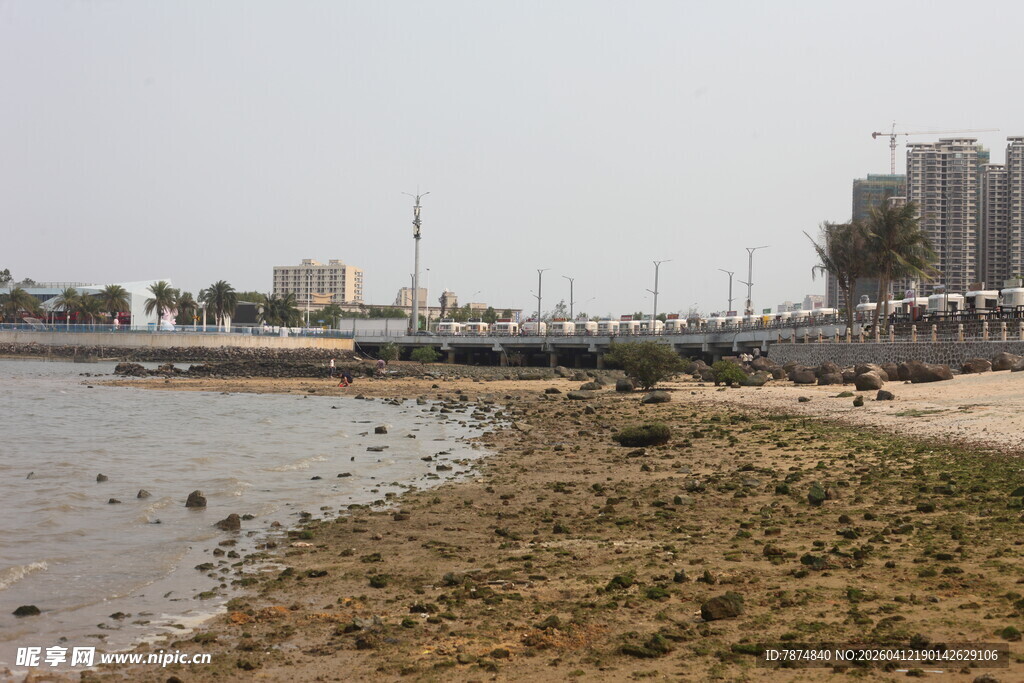 湛江岸边景象 水域与建筑景观