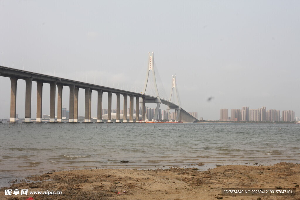 湛江跨海大桥近景与城市天际线