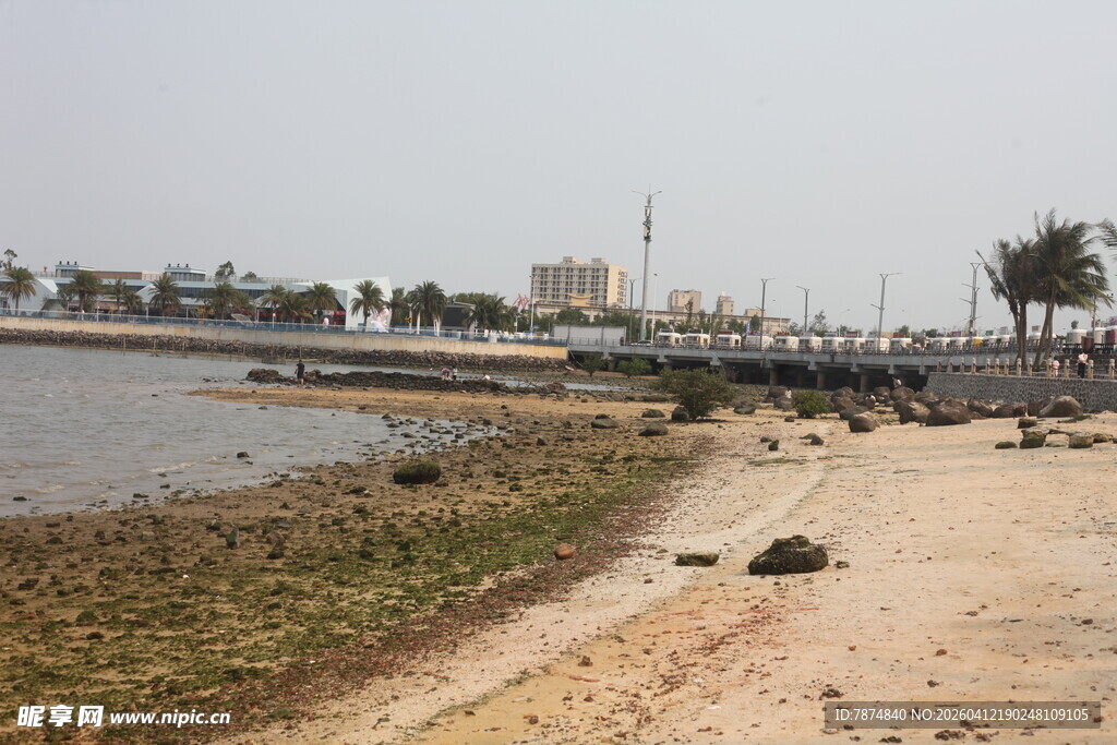 湛江海滨风光 岸边沙石与绿植