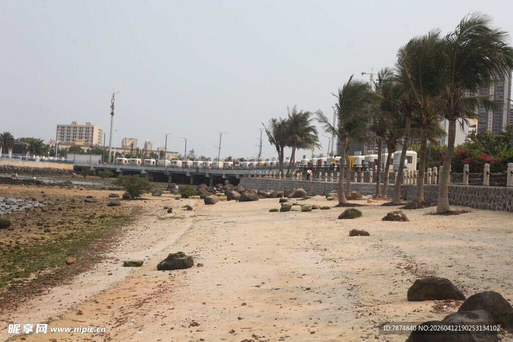 湛江沙滩上的乌龟与岸边景观