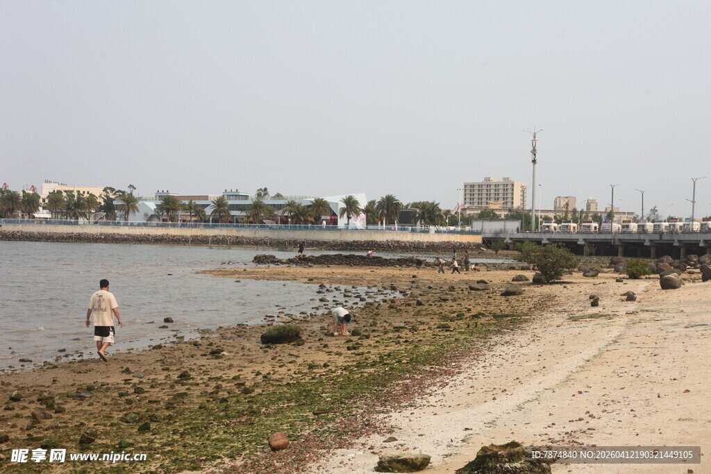 湛江海滨沙滩上的悠闲场景